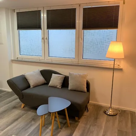 Ambiente 1 Apartment Bad Sackingen